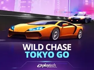 Wild Chase Tokyo Go game thumbnail